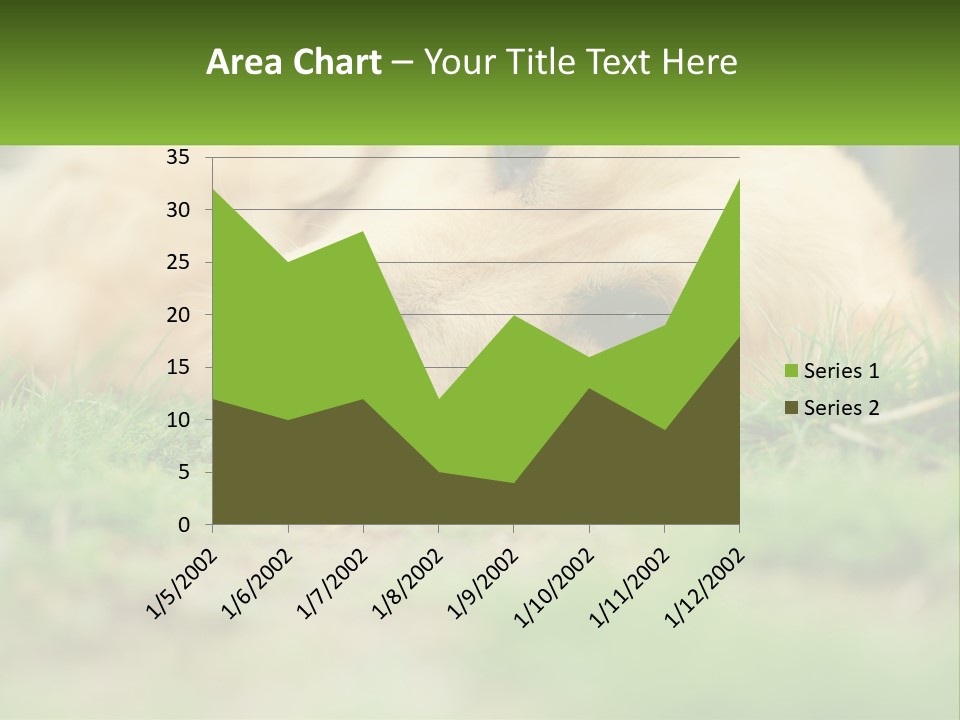 Water Standing Woman PowerPoint Template