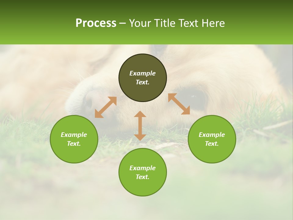 Water Standing Woman PowerPoint Template