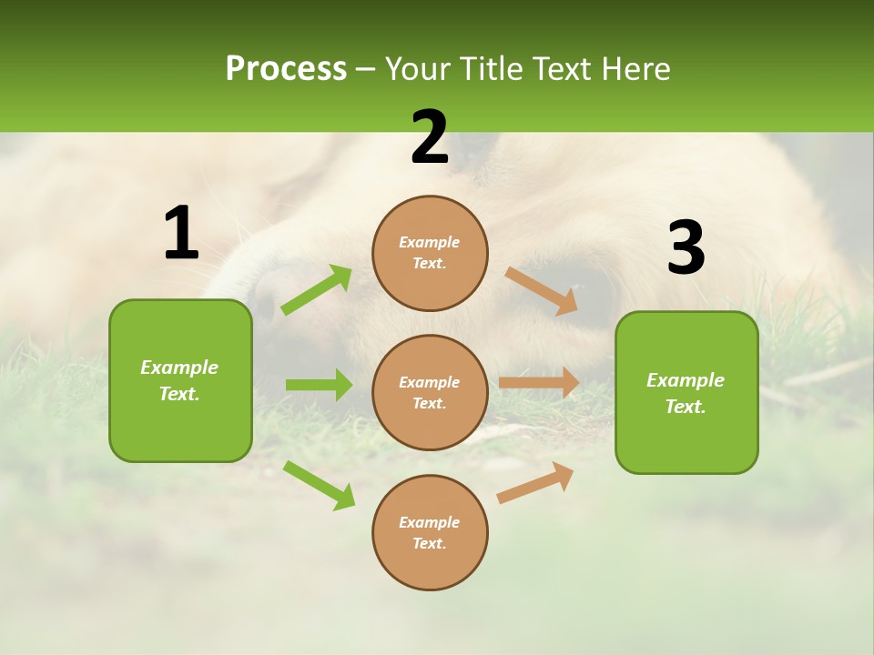 Water Standing Woman PowerPoint Template