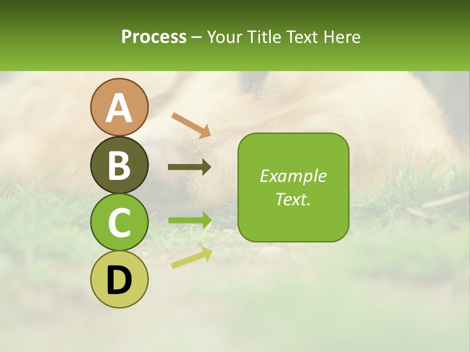 Water Standing Woman PowerPoint Template