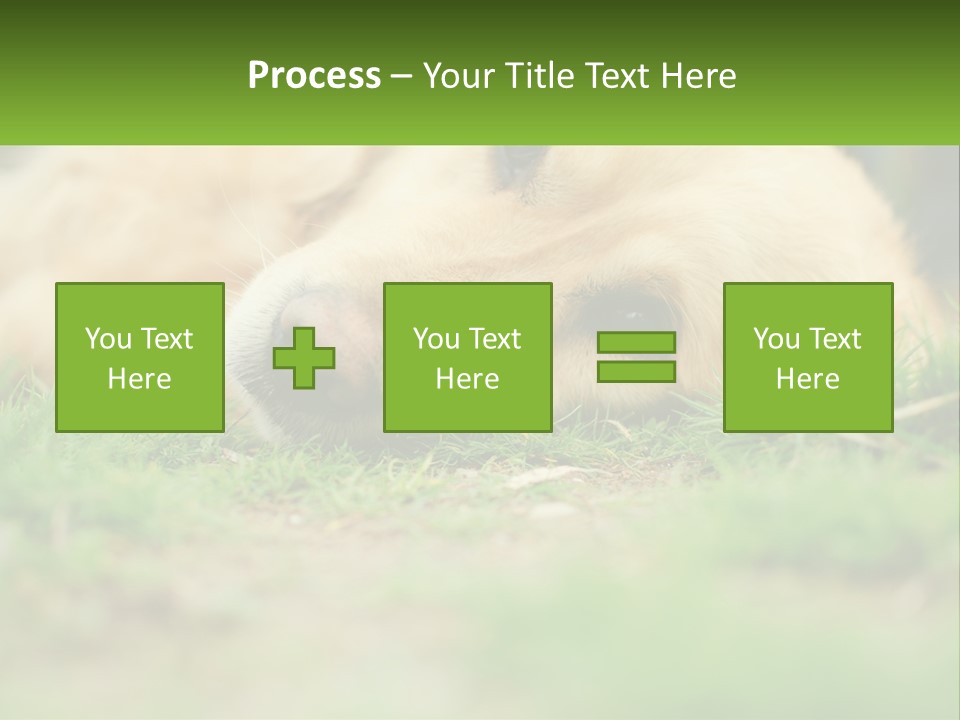 Water Standing Woman PowerPoint Template