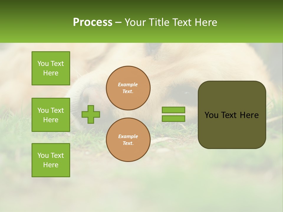 Water Standing Woman PowerPoint Template