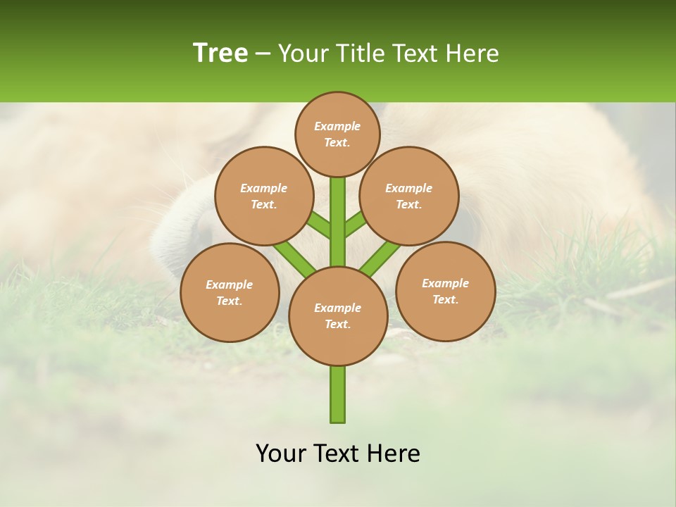 Water Standing Woman PowerPoint Template