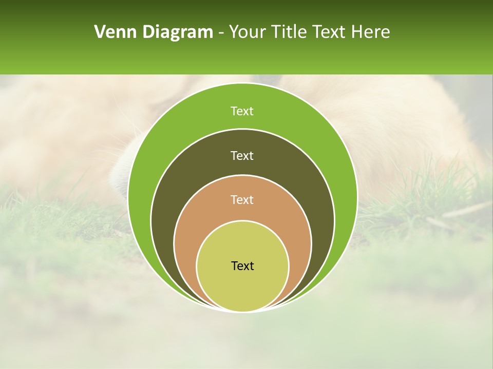 Water Standing Woman PowerPoint Template