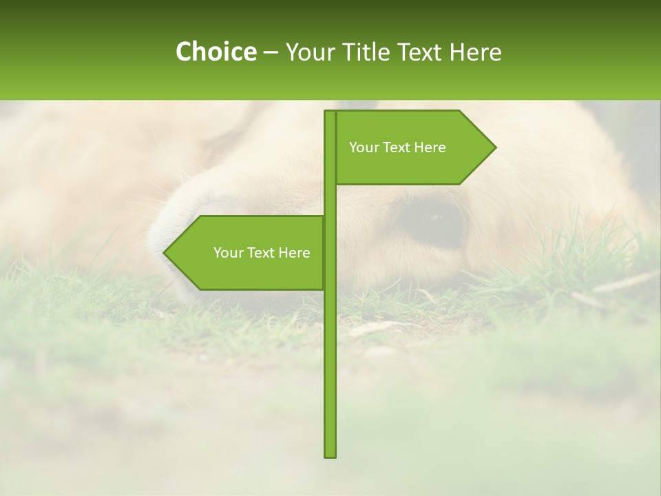 Water Standing Woman PowerPoint Template