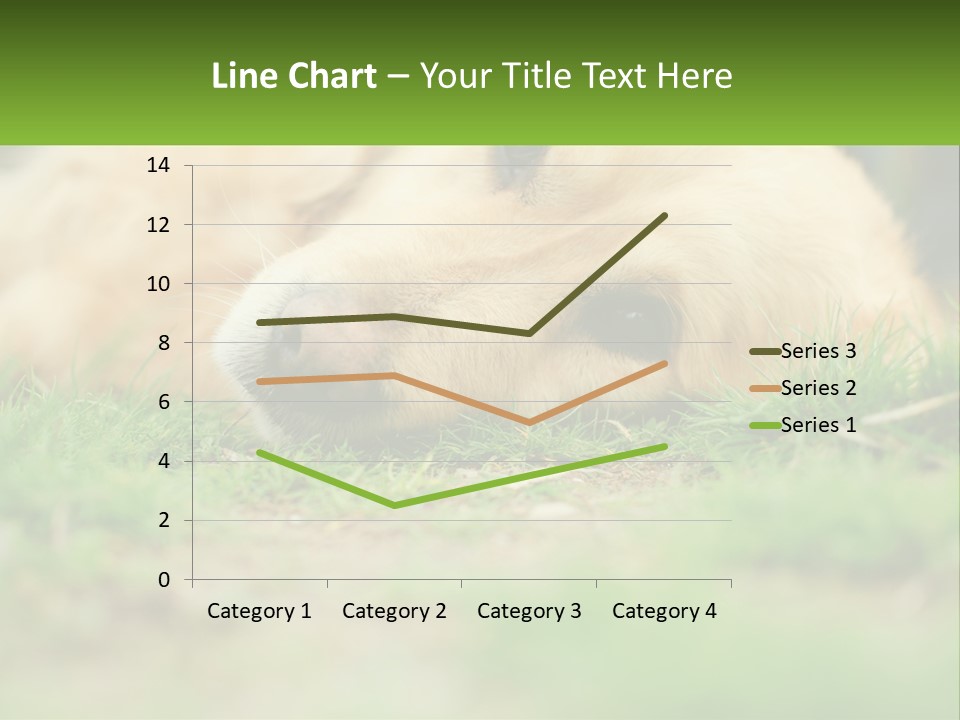 Water Standing Woman PowerPoint Template