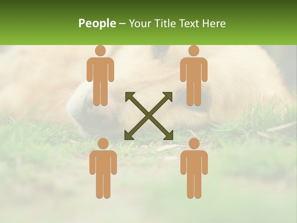 Water Standing Woman PowerPoint Template