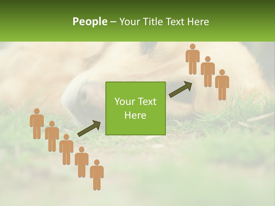 Water Standing Woman PowerPoint Template