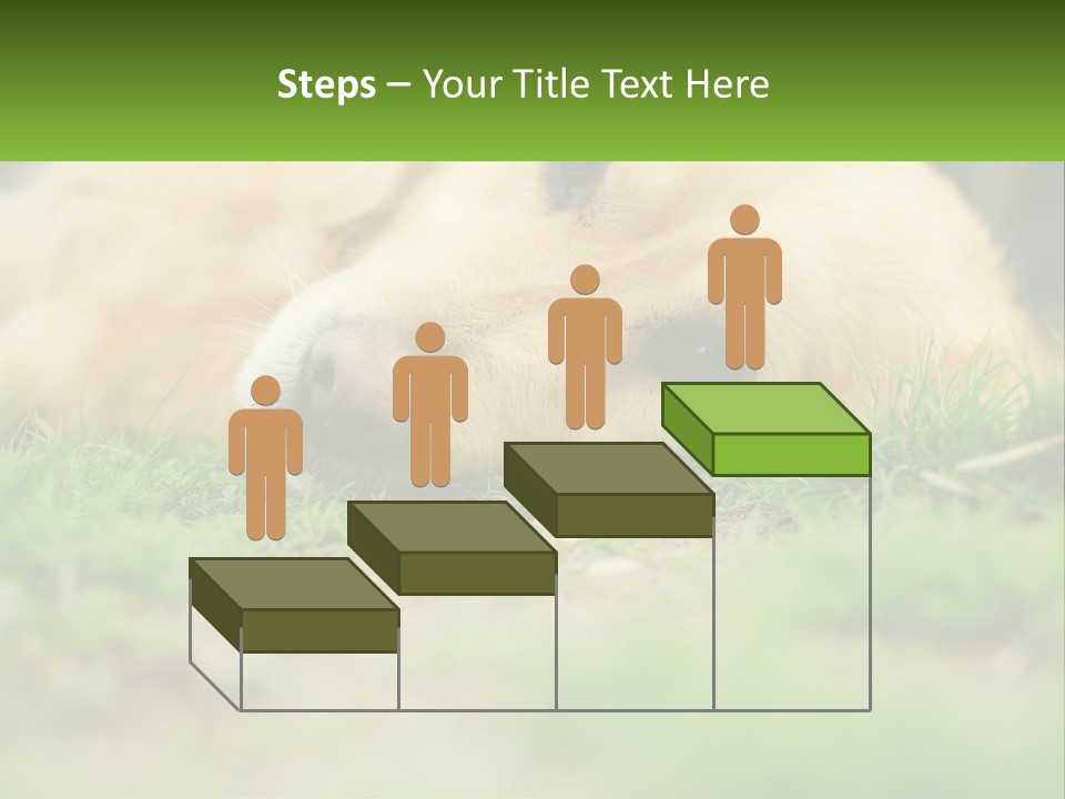 Water Standing Woman PowerPoint Template