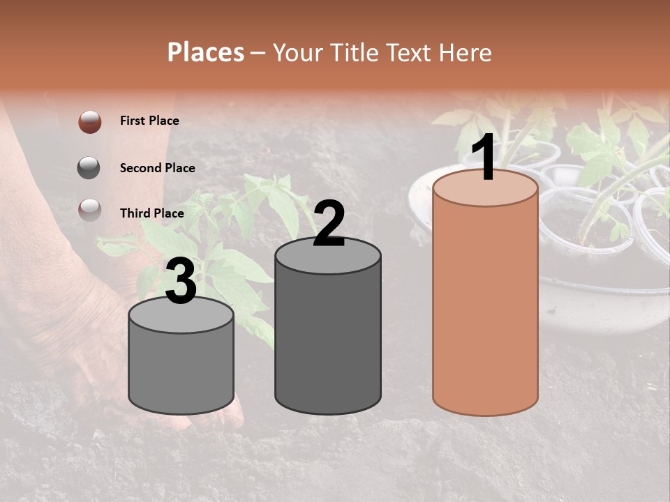 Sand Lifestyle Retirement PowerPoint Template