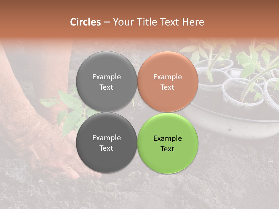 Sand Lifestyle Retirement PowerPoint Template