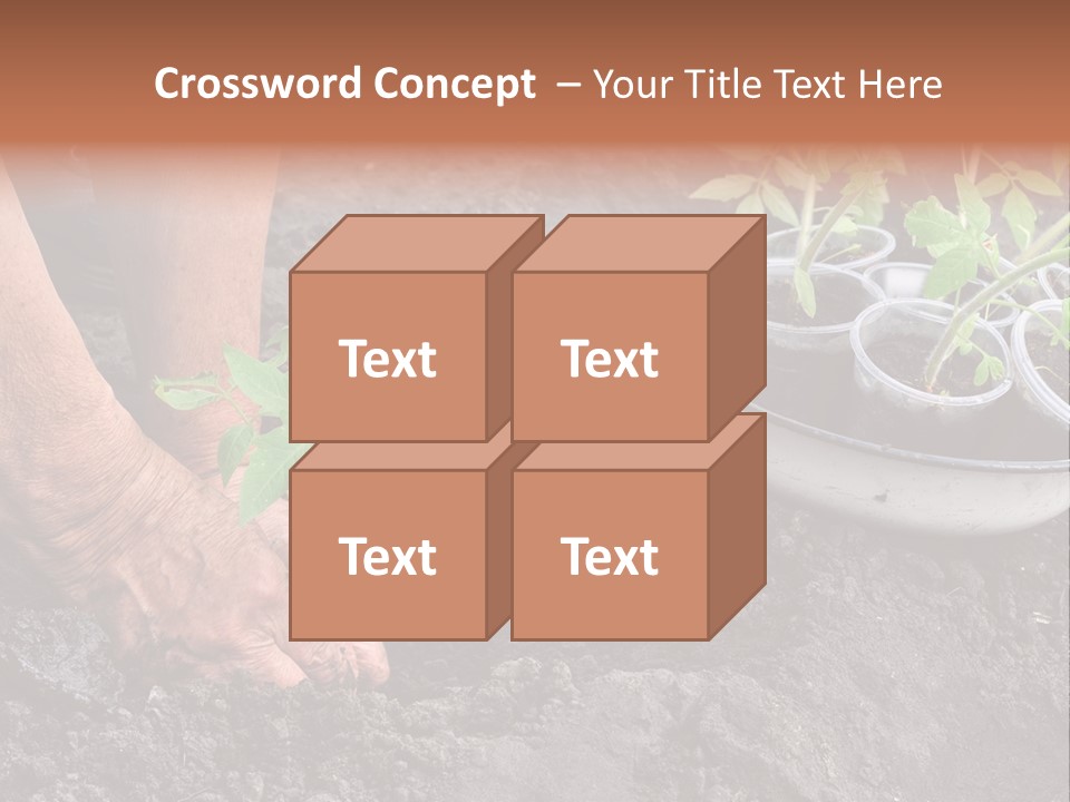 Sand Lifestyle Retirement PowerPoint Template