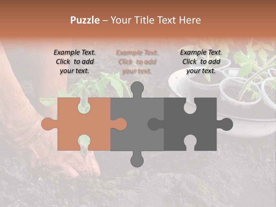 Sand Lifestyle Retirement PowerPoint Template