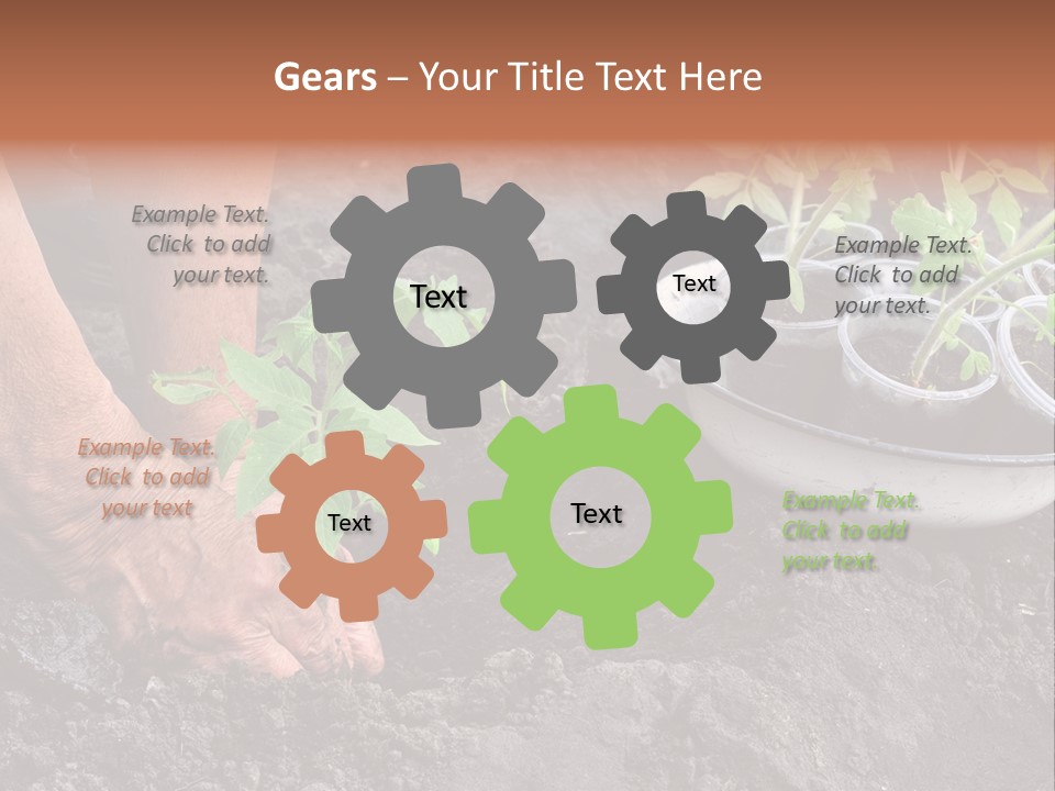 Sand Lifestyle Retirement PowerPoint Template