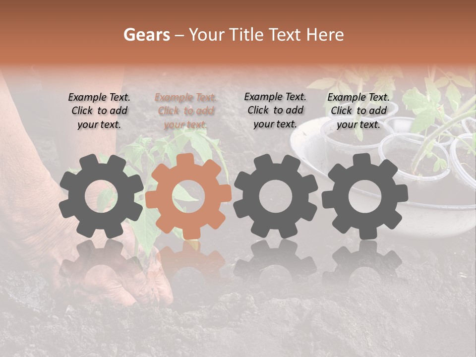 Sand Lifestyle Retirement PowerPoint Template