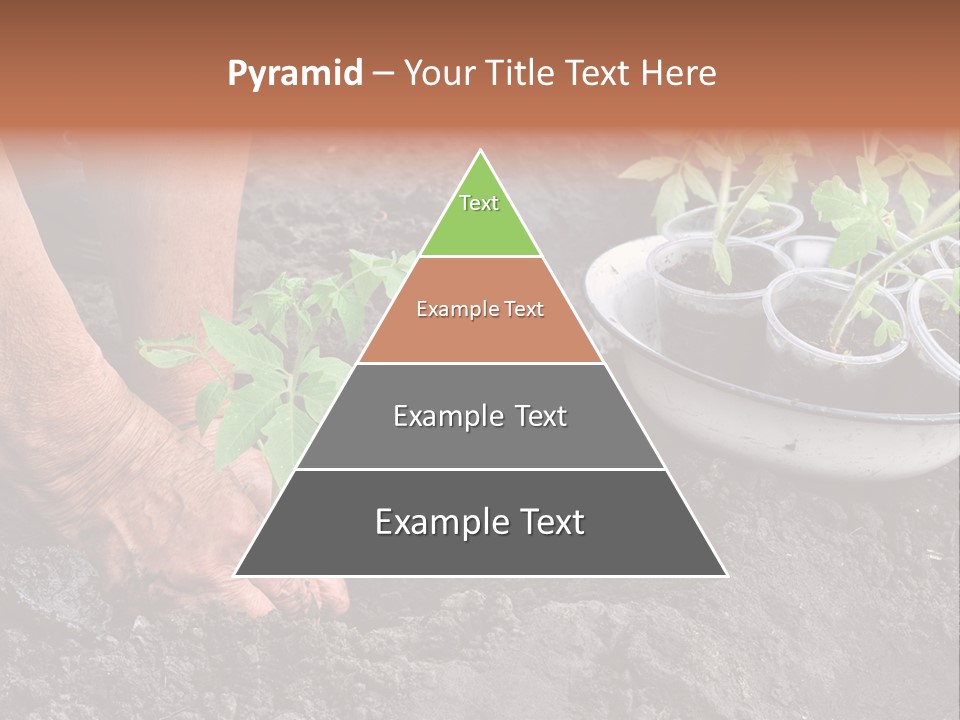 Sand Lifestyle Retirement PowerPoint Template