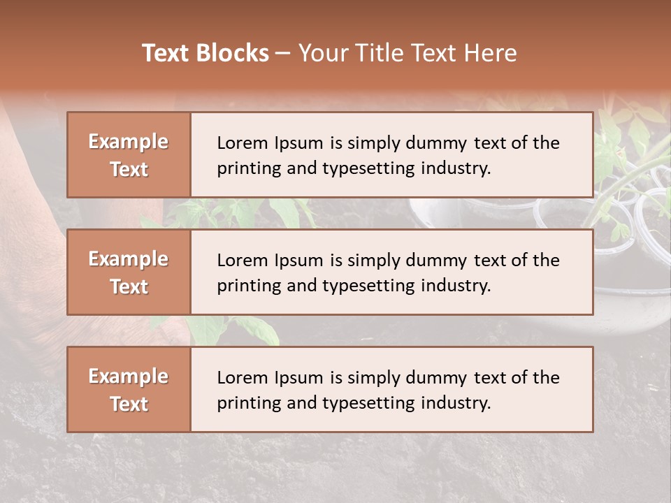 Sand Lifestyle Retirement PowerPoint Template