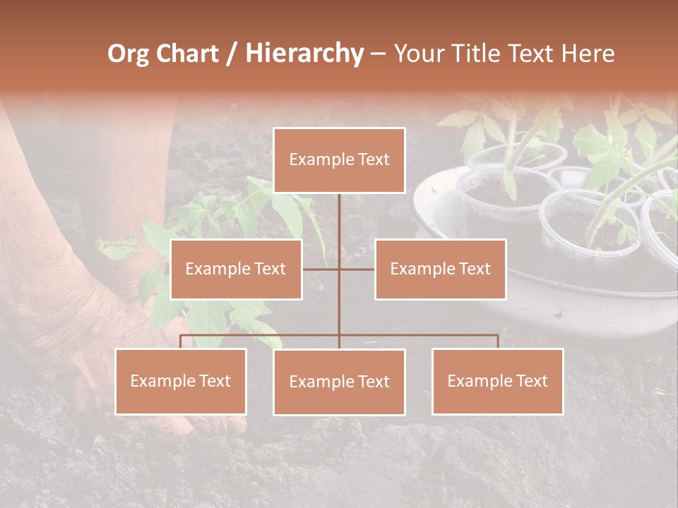 Sand Lifestyle Retirement PowerPoint Template