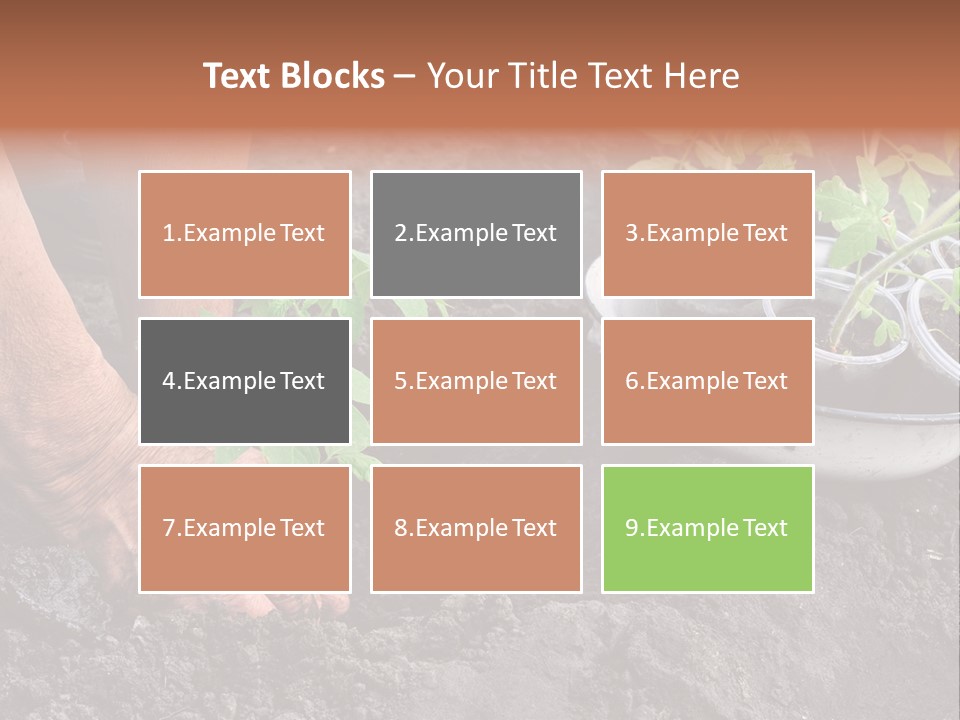 Sand Lifestyle Retirement PowerPoint Template