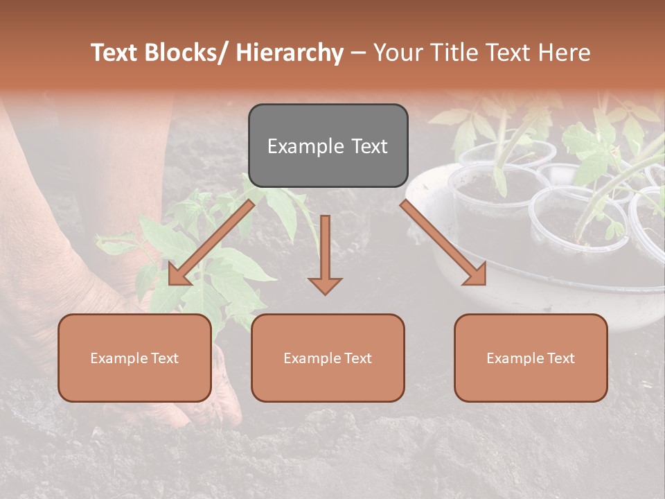Sand Lifestyle Retirement PowerPoint Template