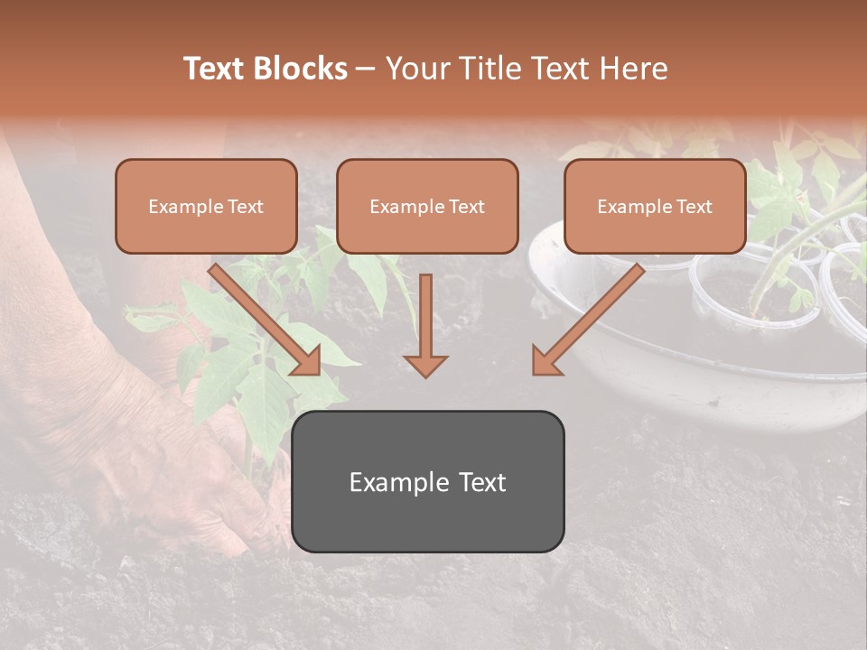 Sand Lifestyle Retirement PowerPoint Template
