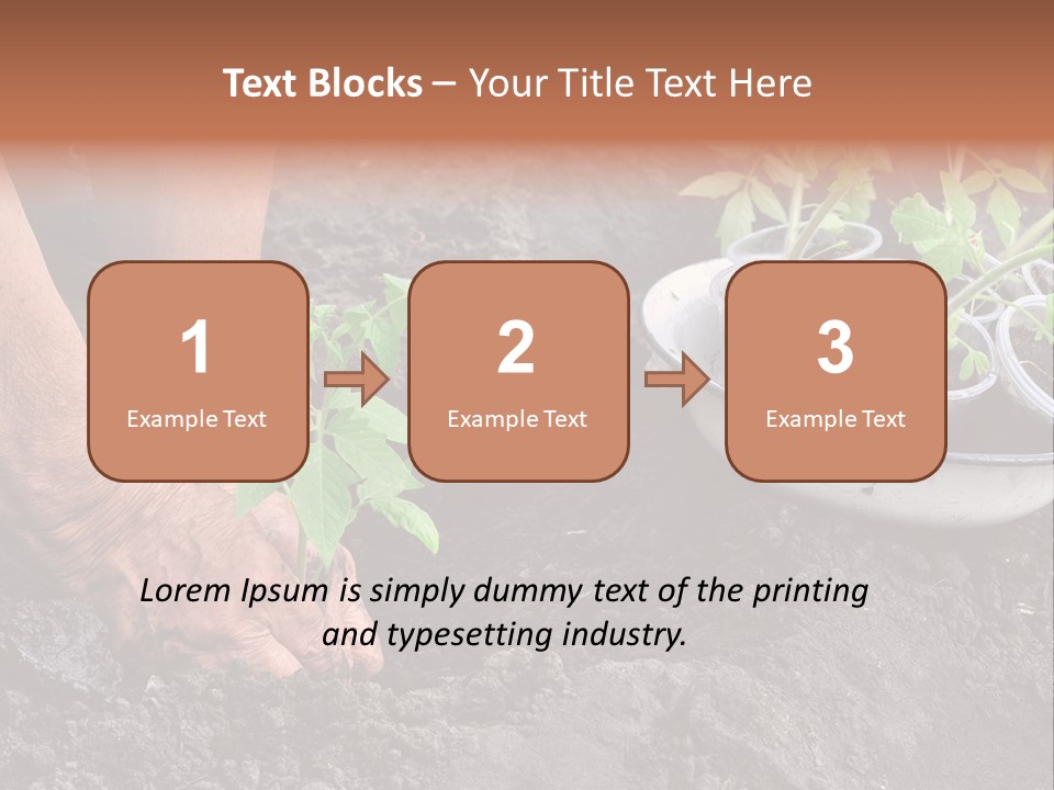 Sand Lifestyle Retirement PowerPoint Template