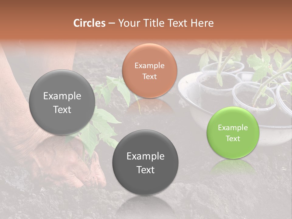 Sand Lifestyle Retirement PowerPoint Template