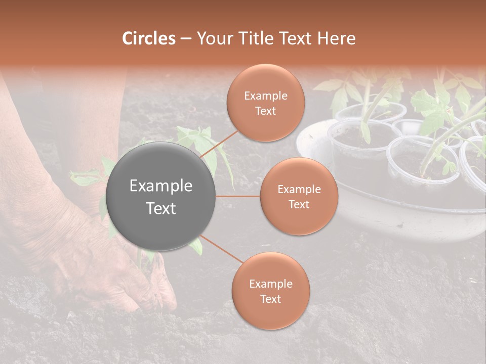 Sand Lifestyle Retirement PowerPoint Template