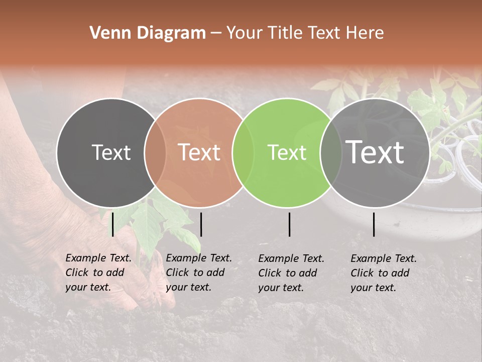 Sand Lifestyle Retirement PowerPoint Template