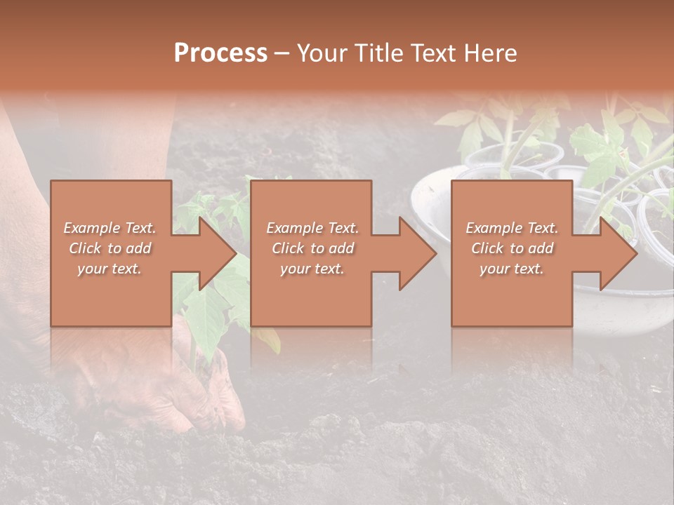 Sand Lifestyle Retirement PowerPoint Template