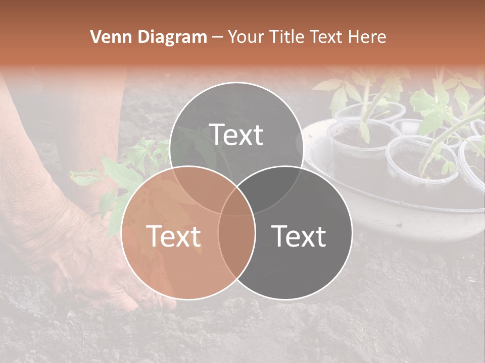 Sand Lifestyle Retirement PowerPoint Template