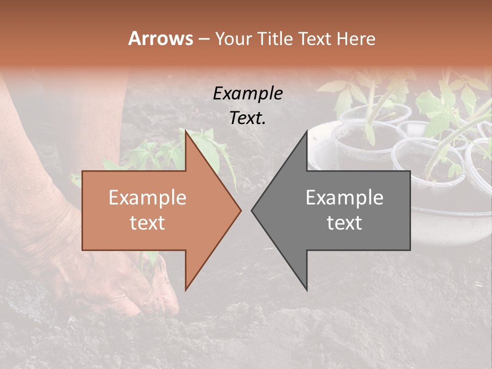 Sand Lifestyle Retirement PowerPoint Template