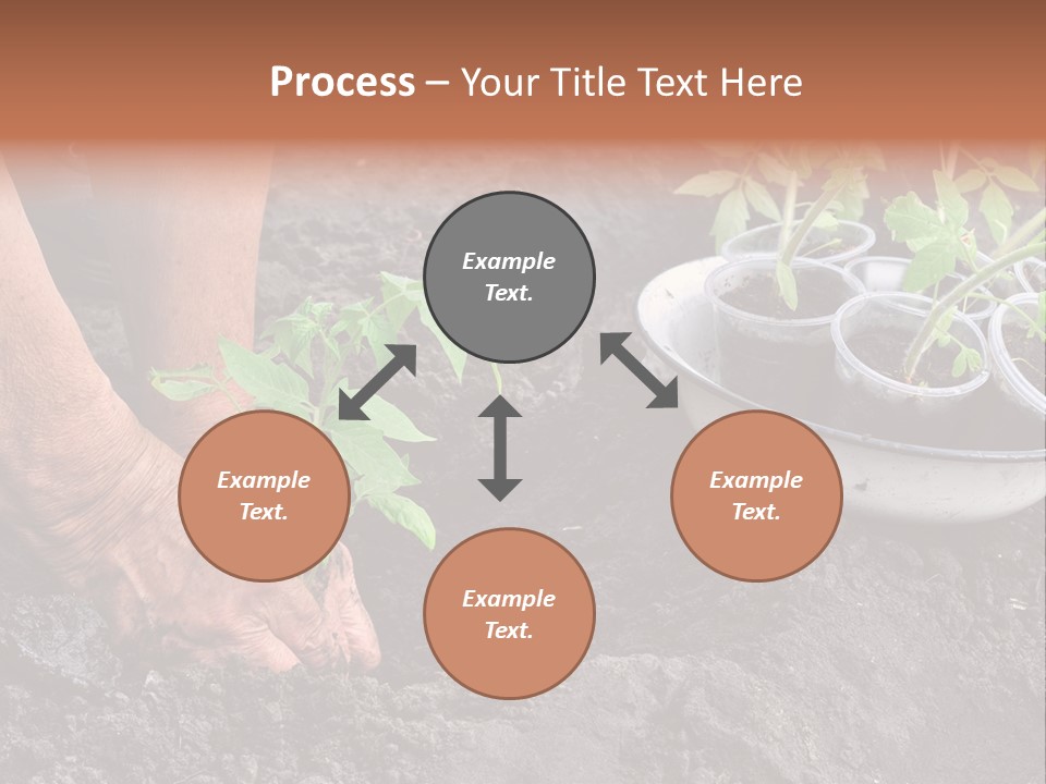 Sand Lifestyle Retirement PowerPoint Template