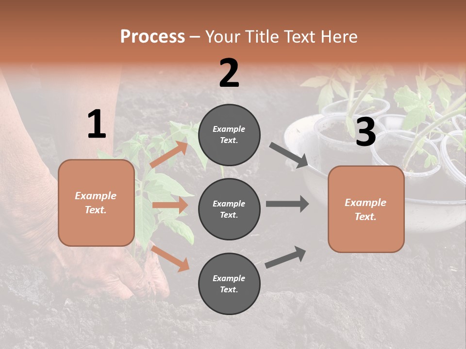 Sand Lifestyle Retirement PowerPoint Template