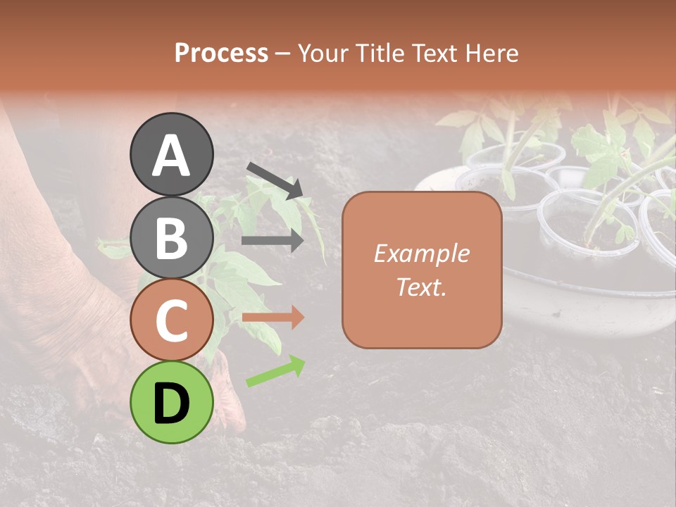 Sand Lifestyle Retirement PowerPoint Template