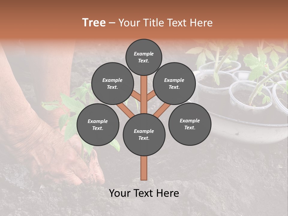 Sand Lifestyle Retirement PowerPoint Template