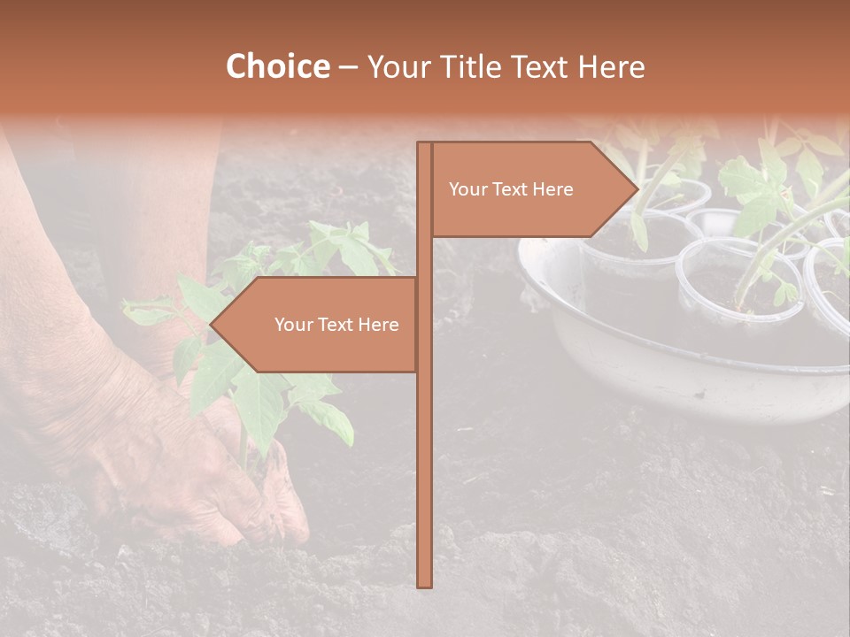 Sand Lifestyle Retirement PowerPoint Template