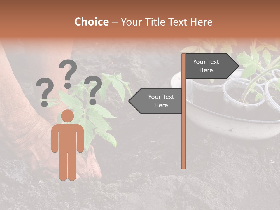 Sand Lifestyle Retirement PowerPoint Template