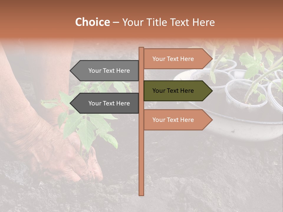 Sand Lifestyle Retirement PowerPoint Template