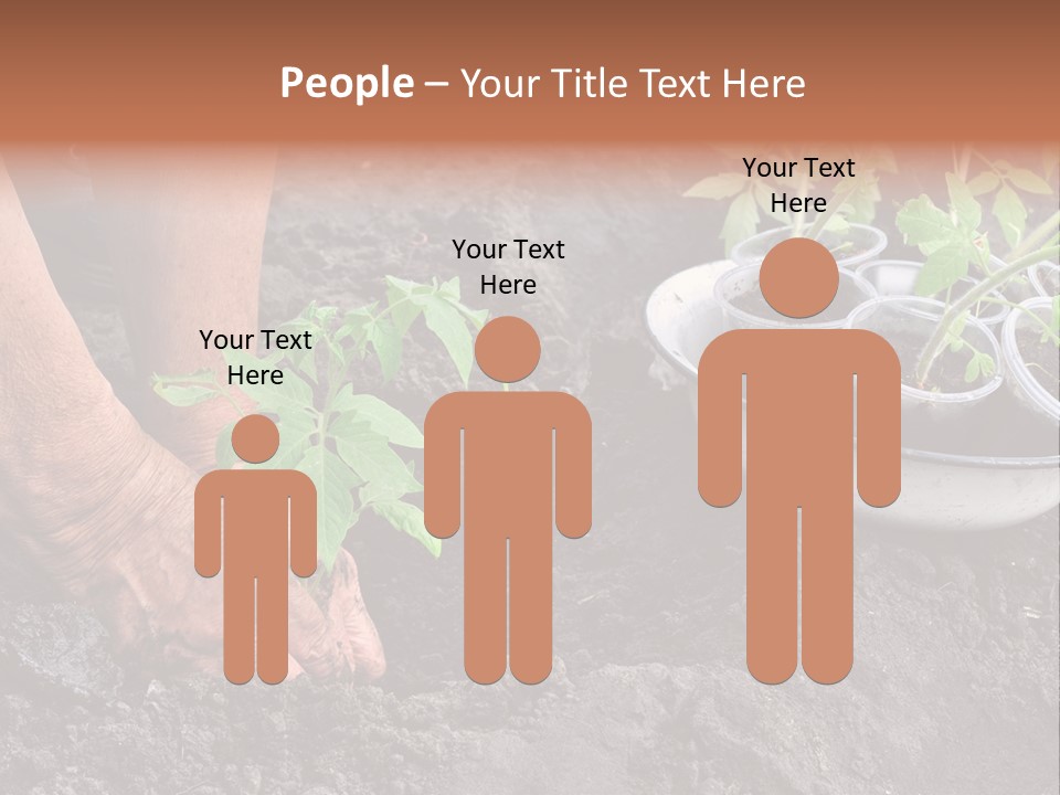 Sand Lifestyle Retirement PowerPoint Template