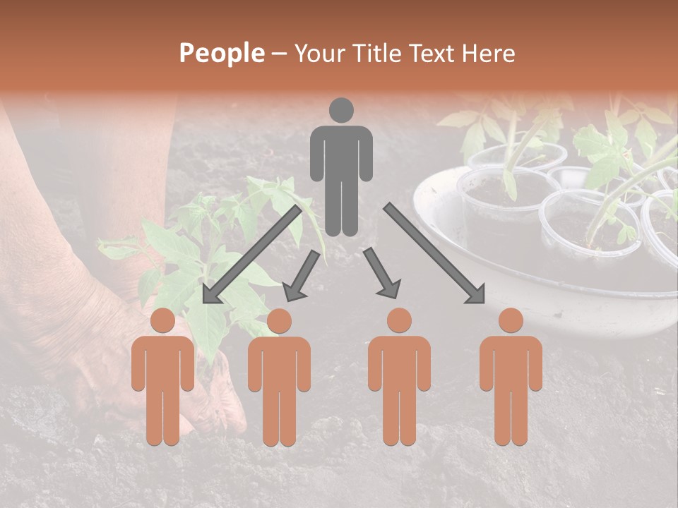 Sand Lifestyle Retirement PowerPoint Template