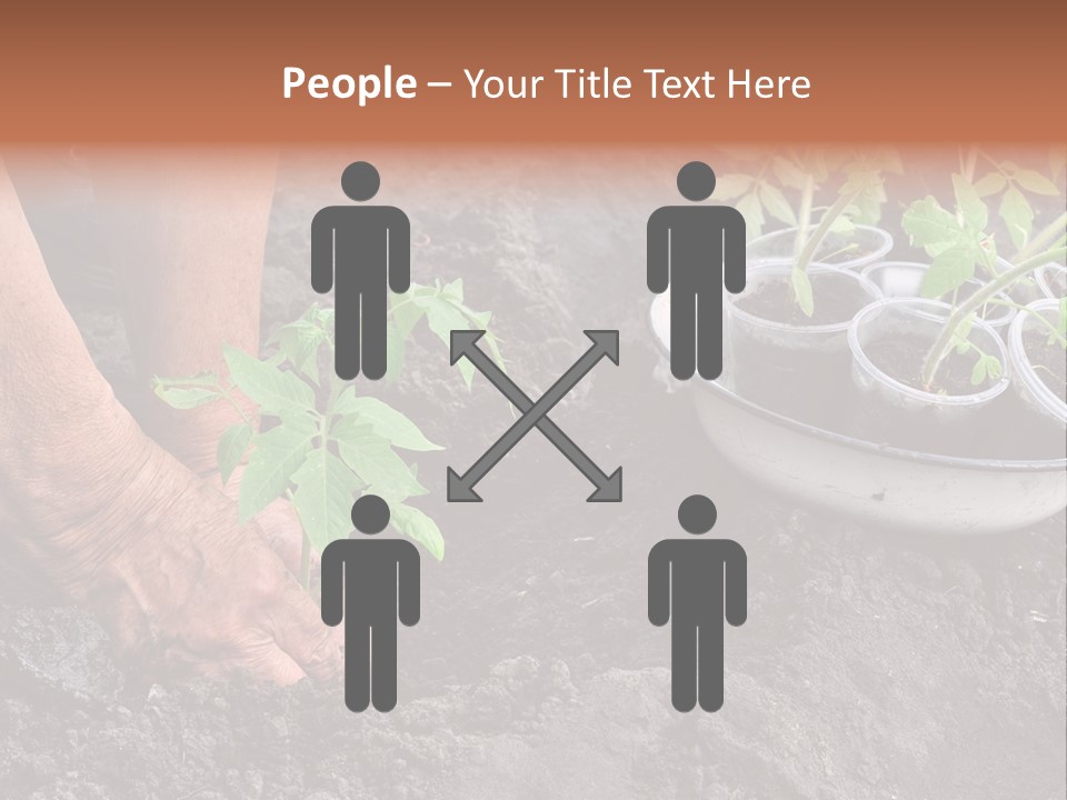 Sand Lifestyle Retirement PowerPoint Template