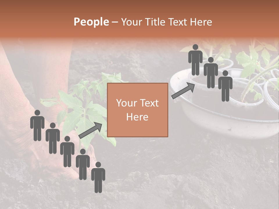 Sand Lifestyle Retirement PowerPoint Template