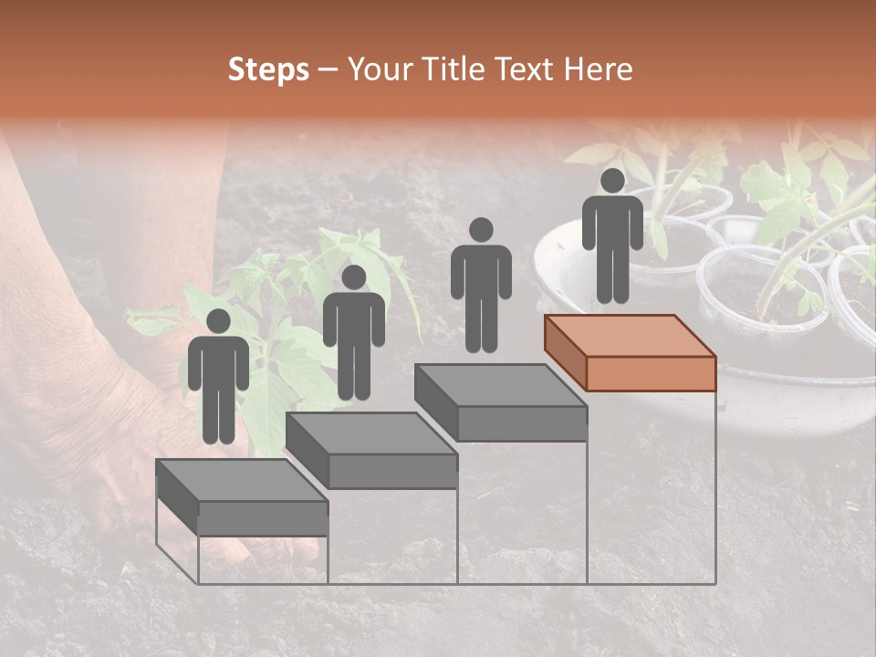 Sand Lifestyle Retirement PowerPoint Template