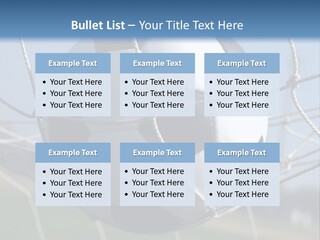 Caucasian Old Senior PowerPoint Template