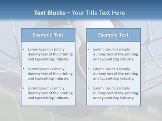 Caucasian Old Senior PowerPoint Template
