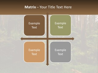 Senior Water Lifestyle PowerPoint Template