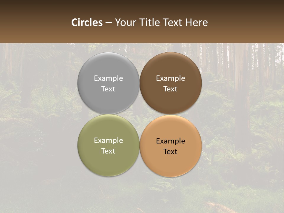 Senior Water Lifestyle PowerPoint Template