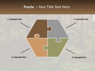 Senior Water Lifestyle PowerPoint Template