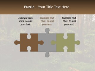 Senior Water Lifestyle PowerPoint Template